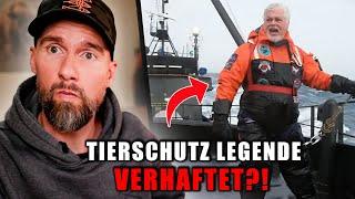 15 JAHRE HAFT für TIERSCHÜTZER?! Sea Shepherd Gründer Paul Watson verhaftet | Robert Marc Lehmann