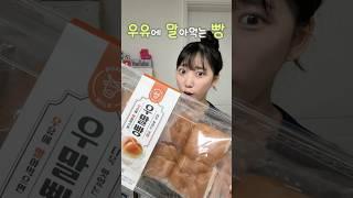 우유에 말아먹는 빵?!구하기 쉬운데⁉️