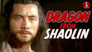 Dragon From Shaolin (1978) | MARTIAL ARTS | Full Movie