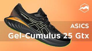 Кроссовки ASICS Gel-Cumulus 25 Gtx. Обзор