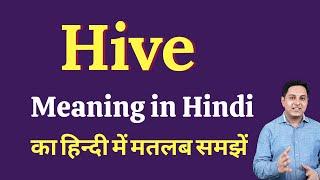 Hive meaning in Hindi | Hive ka kya matlab hota hai | Spoken English Class