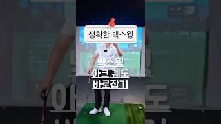 정확한 백스윙 올리는방법/아크.궤도 바로잡기