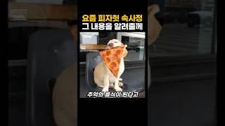 요즘 피자헛 속사정 그 내용을 알려줄께