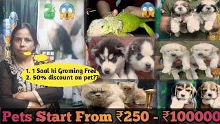 #shorts | Delhi Cheapest Pet Shop | India Best Pet Shop | #petlover #pets #dog #viral #trending