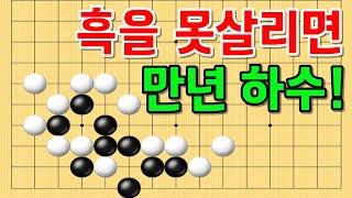 사활 바둑 묘수 - 환상의 서커스를 연상시키는 묘수가 있습니다. 흑을 살려보세요. #바둑 #사활 #바둑강좌