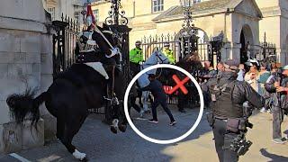 Schoolboy Tried to Spook the Horse Running Under the Horse's Head at Horse Guards in London