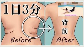 【3分で背中の脂肪を落とし鍛える‼】くびれ・逆三角形の体は背筋の筋トレで作れます‼