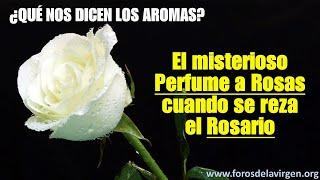 El misterioso Perfume a Rosas cuando se reza el Rosario ¿qué nos dicen los aromas?