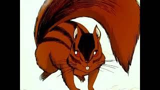 The Squirrels