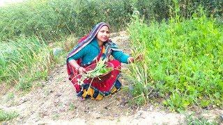 INDIAN VILLAGE LUNCH ROUTINE | INDIAN KITCHEN LUNCH ROUTINE 2020 | DAILY VILLAGE LUNCH ROUTINE