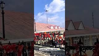 Taradevi Temple Shimla #shimla