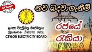 ලංකා විදුලි බල මණ්ඩලයේ නව බදවාගැනීම electricity bord Job vacancy 2024 @jobs-guru