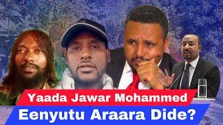 eenyutu araara dide? Jawar Mohammed Maal jedhe Kaabutaa yaada gabaabaa qaba.