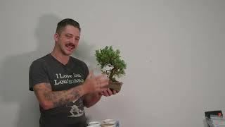 Bonsai 102: Bonsai Soil