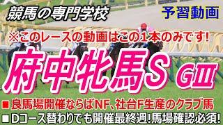 【府中牝馬S2025】予習動画 注意すべきはDコース替わりと今の馬場状態