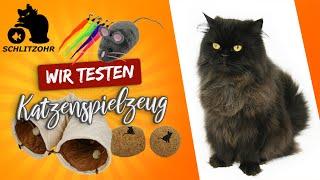 Katzenspielzeug Test | wir testen 4 günstige Spielsachen | Katzen beschäftigen