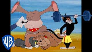 Tom y Jerry en Latino | Gatos vs. perros |  @WBKidsLatino