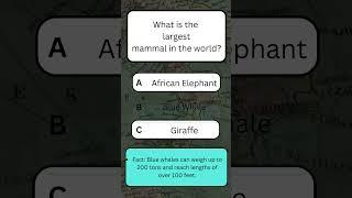 KNOWLEDGE QUIZ  geography quiz #CapitalCityQuiz #GlobalGeography #knowledgefacts #GeoQuiz #QuizGames