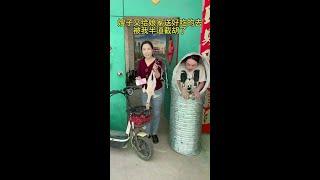 我的鸡去了哪里？