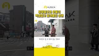인천공항에서 가장 가까운 서울 핫플 홍대