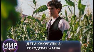 ВРЕМЯ СОБИРАТЬ УРОЖАЙ! Дети кукурузы 3: Городская жатва