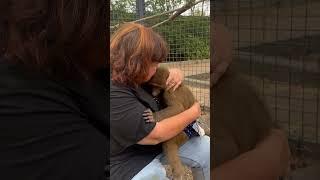 Если бы раньше маме сказали что она так будет ЛЮБИТЬ ГАМАДРИЛ, она бы не поверила)))