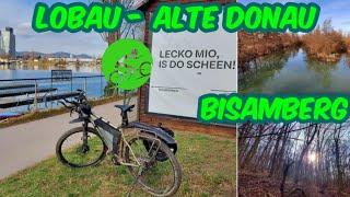 MTB-Tour von der Lobau über die Alte Donau zum Bisamberg & zurück