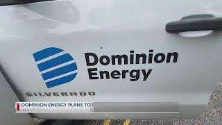 Dominion Energy to cut down palmetto trees on Isle of Palms