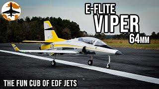 The SLOWEST RC Jet - E-flite Viper 64mm