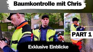 Baumkontrolle mit Chris | Einblicke | Baumwissen | Verkehrssicherheit