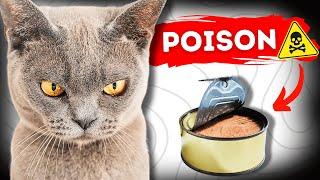 These Common Foods Could Secretly Be Poisoning Your Cat