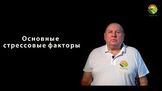 Основные стрессовые факторы