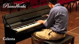 Roland DP-90 Digital Piano Demo - PianoWorks