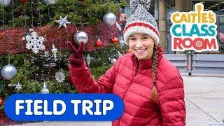 The Twelve Trees Of Christmas | Caitie's Classroom Field Trip | Counting Video For Kids