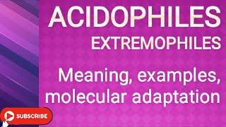 Acidophiles_  Extremophiles: Meaning, Examples, Molecular adaptation