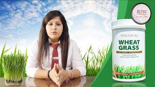 Altos Wheatgrass Powder (Rich Nutritional Food Supplement)