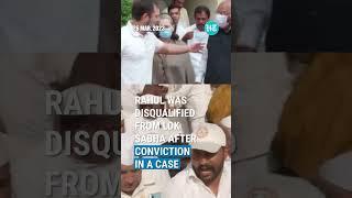 Rahul Gandhi Changes His Twitter Bio, Calls Himself 'Dis’qualified MP'