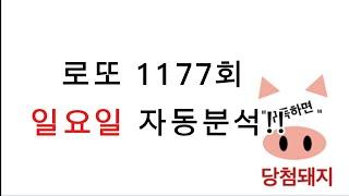 로또 1177회 일요일 자동분석!! #당첨돼지