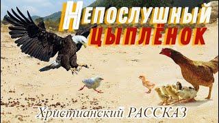  "Непослушный цыпленок" ~ СЛАЙДЫ | РАССКАЗ Христианский для ДЕТЕЙ ️ АУДИОРАССКАЗ