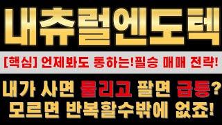 [내츄럴엔도텍 주가분석] 거래량으로 보는 차트에 담긴 의도와 세력목표가!?
