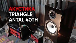 Акустическая система Triangle Antal 40th и как ее правильно слушать