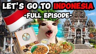 CAT MEMES: FAMILY VACATION COMPILATION TO INDONESIA + EXTRA SCENES