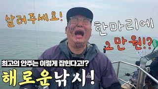 서해에 지금 엄청 큰 이놈이 나오는데...!? 진짜 너무 어렵네요 하지만 맛은 최고입니다!