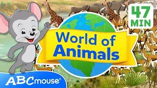  Explore the World of Animals  | 47 Minute Full Episode | Compilation for TV | ABCmouse for Kids