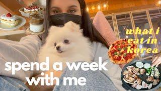 weekly seoul vlog  what I eat in korea, aesthetic cafes, cooking with friends, dog cafe