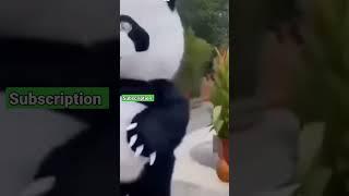 So cute baby laughing smile. Cute panda  #shorts