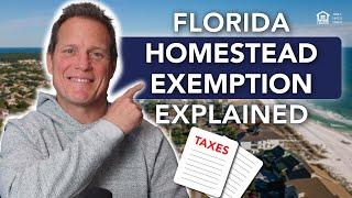 Florida Homestead Exemption 2024 - Everything You Need To Know About