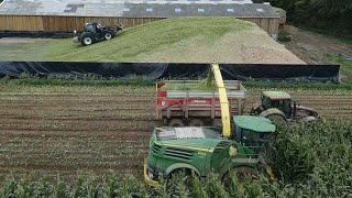 ensilage de maïs 2024 condition en Normandie 