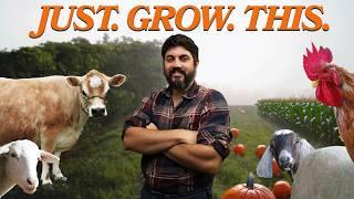 The EASIEST Way to GROW MORE FOOD