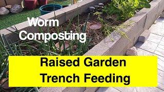 Worm Composting in a Raised Garden Trench  - don't mind the Grubs!   Vermicompost